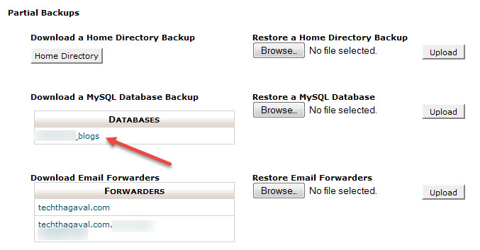 website database backup